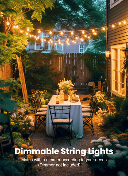 Outdoor String Lights 25 Feet G40 LED Patio Lights, Plug-in, 13 Plastic Edison Bulbs(1 Spare), Waterproof Connectable Hanging Light for Backyard Porch Balcony Party Decor, E12 Base, Black